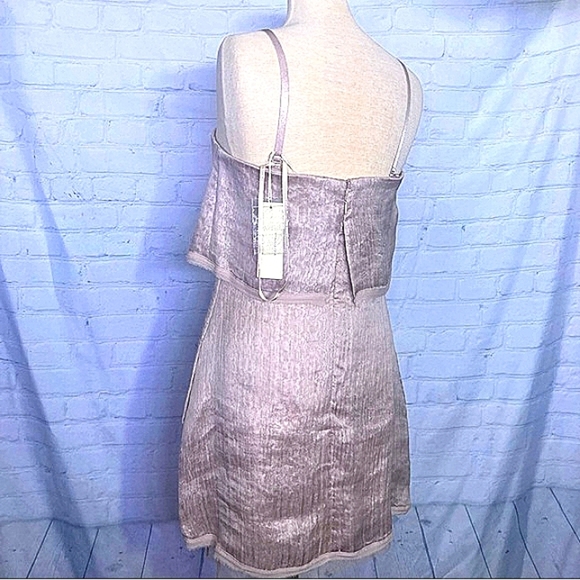 NWT BCBGeneration light mauve dress w sheer overlay - Picture 8 of 16